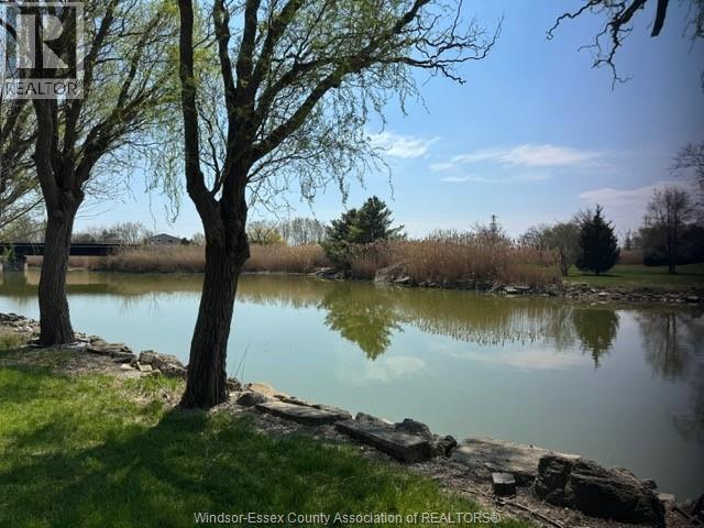 429 East Ruscom River Road, Lakeshore, Ontario  N0R 1S0 - Photo 3 - 25009124