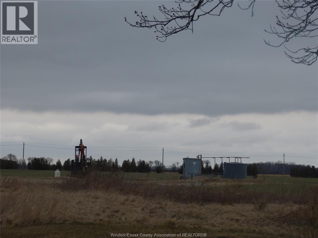 321 Highway 3, Leamington, Ontario  N8H 3V6 - Photo 2 - 25011984