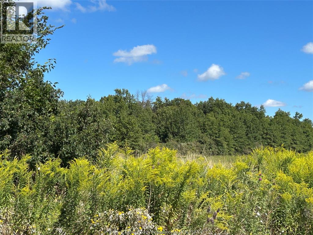 2124 County Rd 12, Colchester North, Ontario  N8M 2X6 - Photo 4 - 25022084