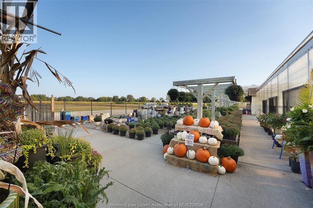 585 Seacliff Drive, Kingsville, Ontario  N9Y 2K6 - Photo 17 - 25024396