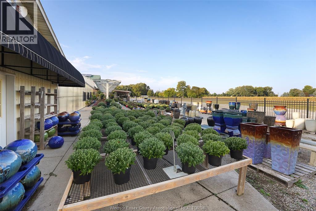 585 Seacliff Drive, Kingsville, Ontario  N9Y 2K6 - Photo 21 - 25024396