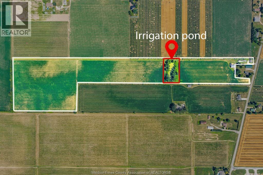 1598 Gore, Harrow, Ontario  N0R 1G0 - Photo 3 - 25027029