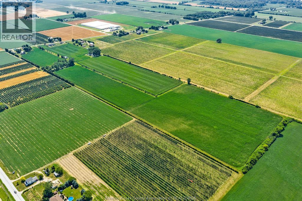 1598 Gore, Harrow, Ontario  N0R 1G0 - Photo 7 - 25027029