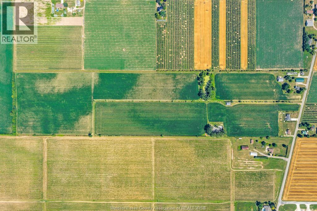 1598 Gore, Harrow, Ontario  N0R 1G0 - Photo 9 - 25027029