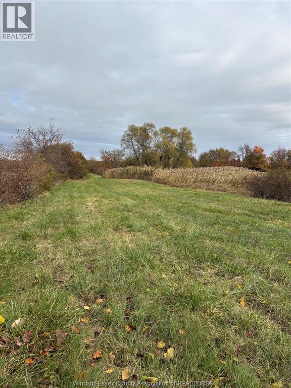 V/l County Rd 20 W, Kingsville, Ontario  N9Y 2E6 - Photo 10 - 25026946