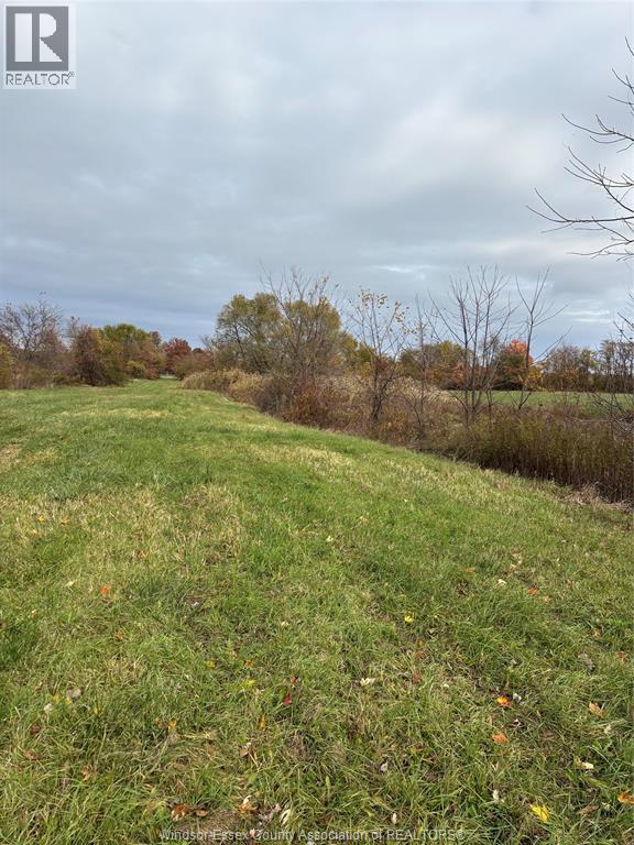 V/l County Rd 20 W, Kingsville, Ontario  N9Y 2E6 - Photo 11 - 25026946