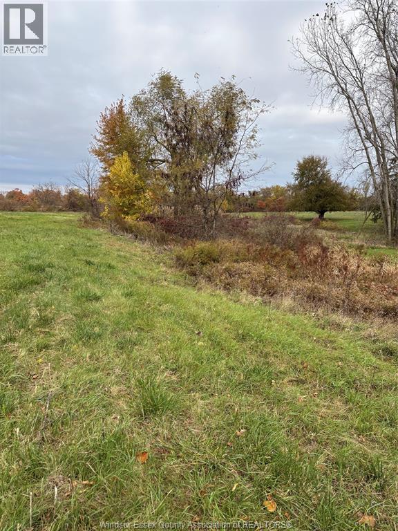 V/l County Rd 20 W, Kingsville, Ontario  N9Y 2E6 - Photo 12 - 25026946