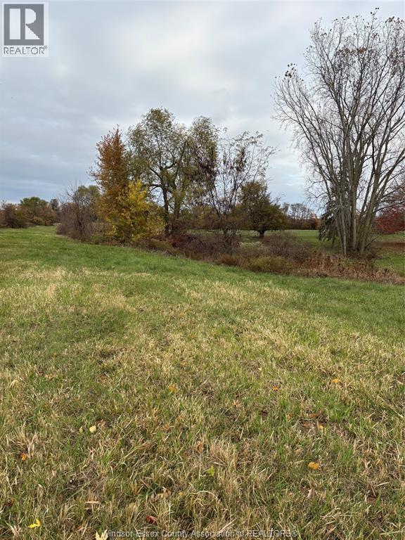 V/l County Rd 20 W, Kingsville, Ontario  N9Y 2E6 - Photo 14 - 25026946