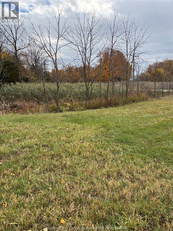 V/l County Rd 20 W, Kingsville, Ontario  N9Y 2E6 - Photo 15 - 25026946