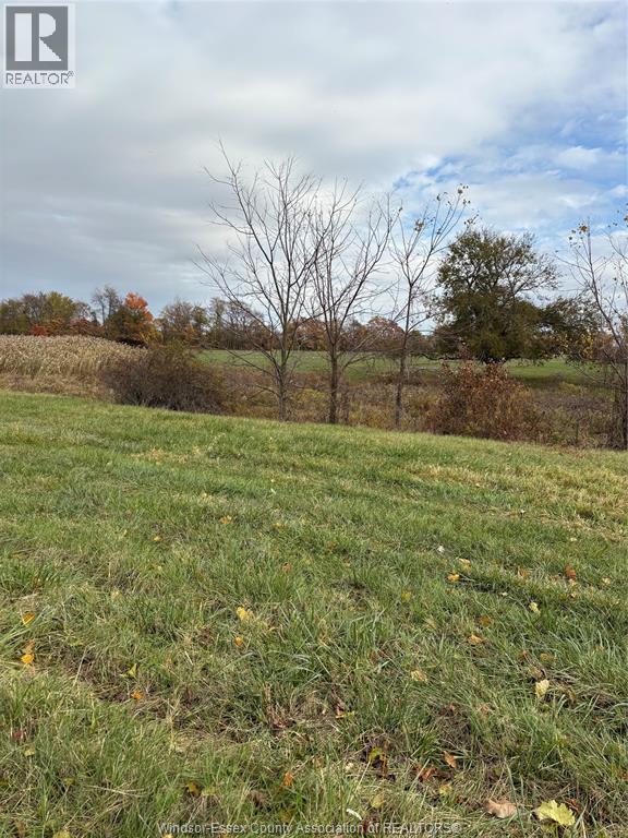 V/l County Rd 20 W, Kingsville, Ontario  N9Y 2E6 - Photo 9 - 25026946