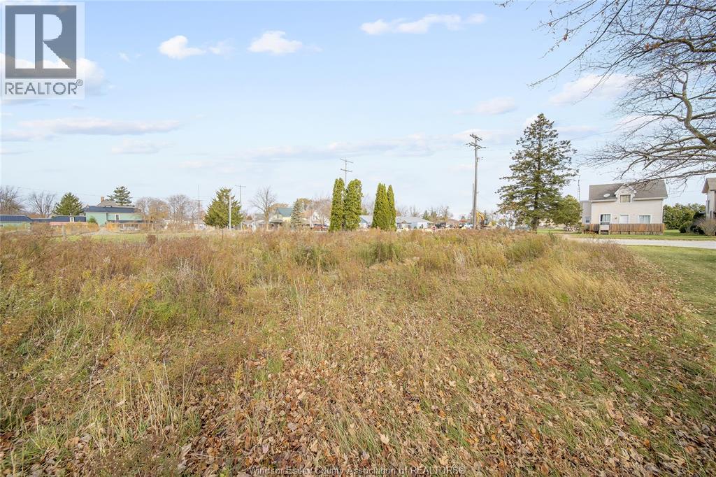 123 Erie St. S., Merlin, Ontario  N0P 1W0 - Photo 5 - 25028477