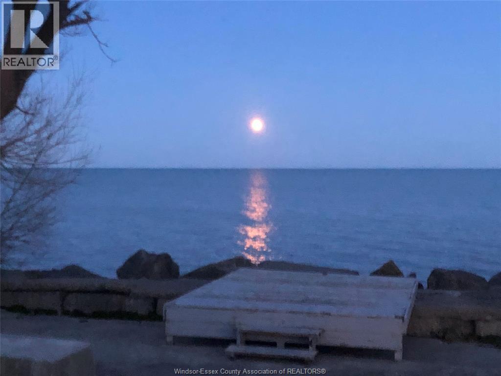 262 Cotterie Park, Leamington, Ontario  N0P 2P0 - Photo 49 - 25029172