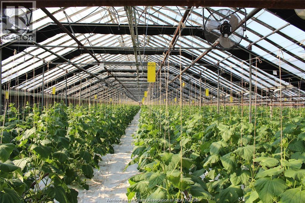 725 Mersea Rd 6 East, Leamington, Ontario  N8H 3V8 - Photo 4 - 25030540