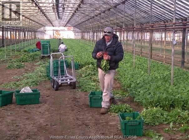 725 Mersea Rd 6 East, Leamington, Ontario  N8H 3V8 - Photo 40 - 25030540