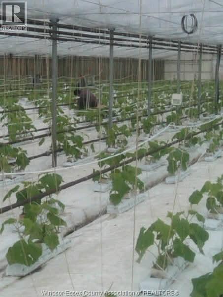 725 Mersea Rd 6 East, Leamington, Ontario  N8H 3V8 - Photo 45 - 25030540