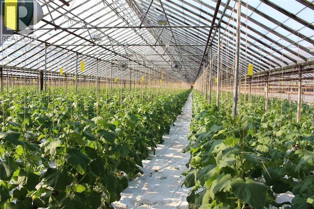 725 Mersea Rd 6 East, Leamington, Ontario  N8H 3V8 - Photo 5 - 25030540