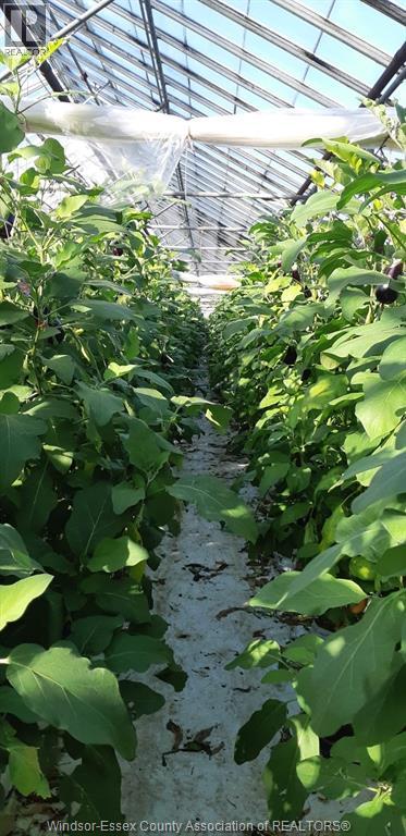 725 Mersea Rd 6 East, Leamington, Ontario  N8H 3V8 - Photo 6 - 25030540