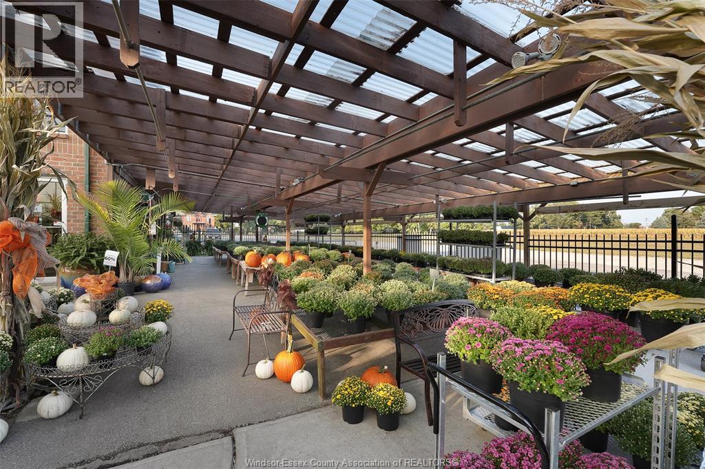 585 Seacliff Drive, Kingsville, Ontario  N9Y 2K6 - Photo 11 - 25030751