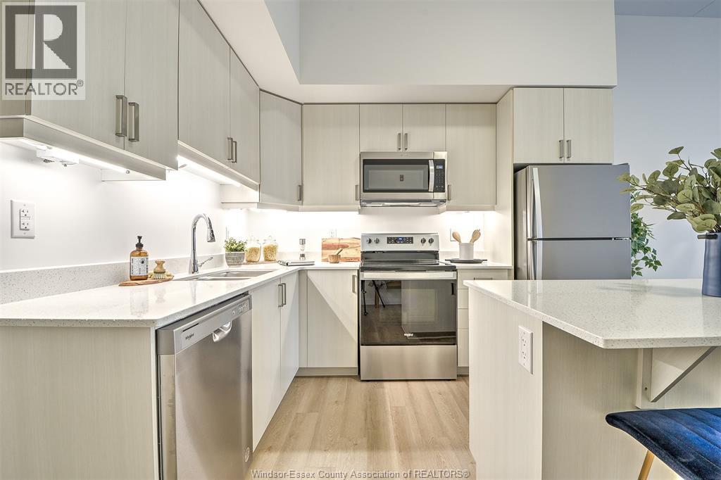 207 Brock Unit# 203, Amherstburg, Ontario  N9V 2H3 - Photo 16 - 26000927