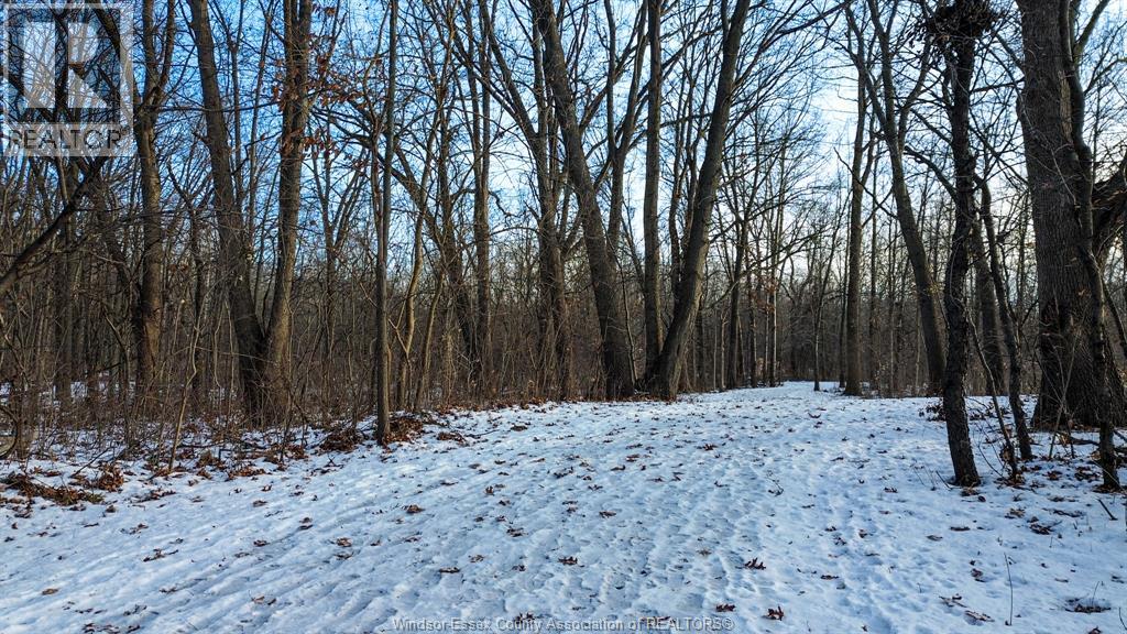 2185 Washington Boulevard, Lasalle, Ontario  N9H 1Y5 - Photo 13 - 26000490