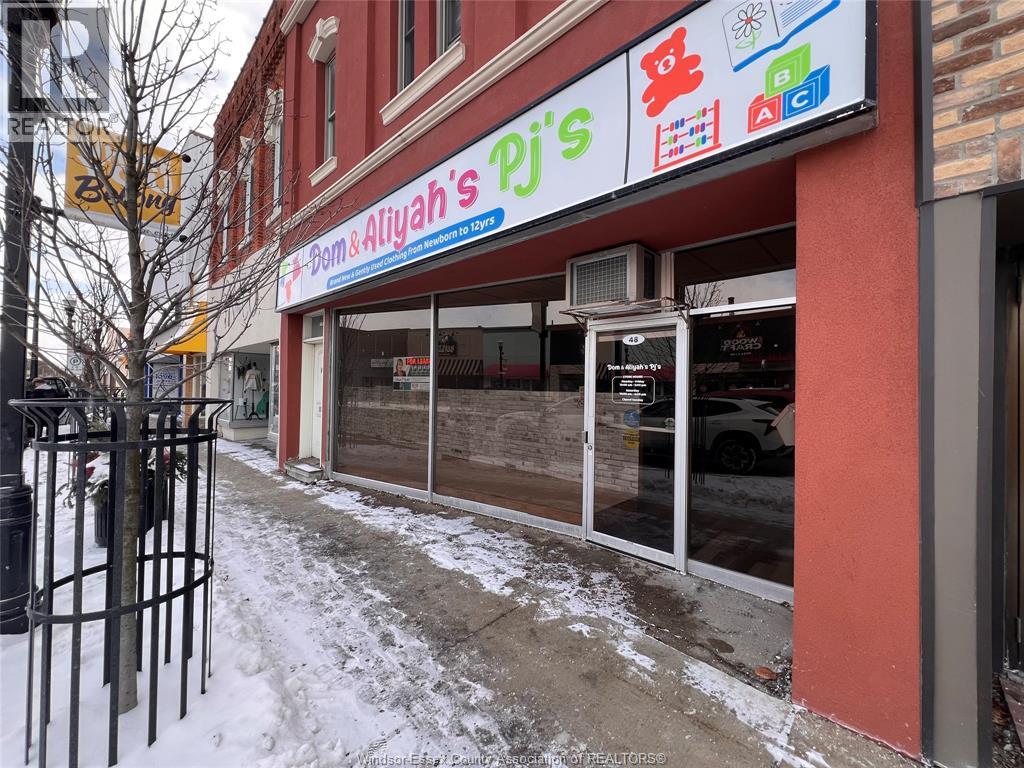 48 Talbot Street North Unit# Lower, Essex, Ontario  N8M 1A3 - Photo 2 - 26001816