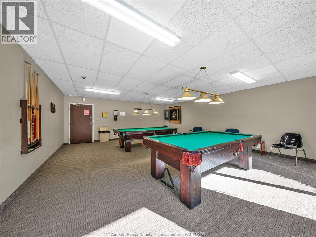 3936 Wyandotte Street East Unit# 206, Windsor, Ontario  N8Y 4V1 - Photo 20 - 26003025