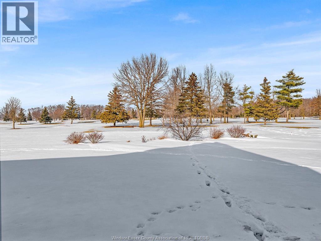 7054 Eagle Crescent, Amherstburg, Ontario  N0R 1J0 - Photo 45 - 26002883