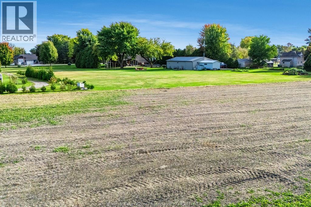 4325 Tecumseh Line, Tilbury North, Ontario  N0P 2L0 - Photo 10 - 26003174