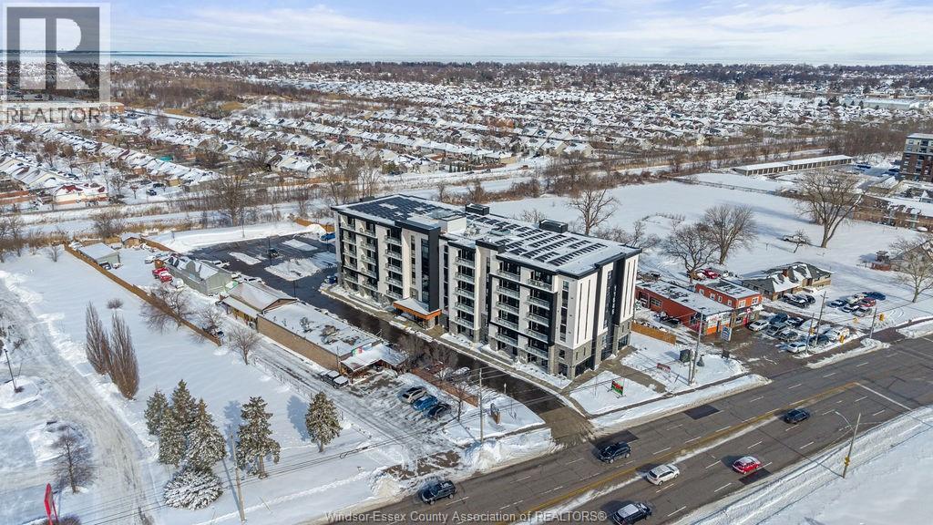 11646 Tecumseh Road East Unit# 105, Windsor, Ontario  N8N 0J9 - Photo 2 - 26003710