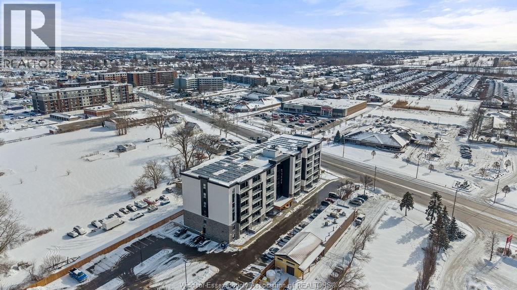 11646 Tecumseh Road East Unit# 105, Windsor, Ontario  N8N 0J9 - Photo 4 - 26003710