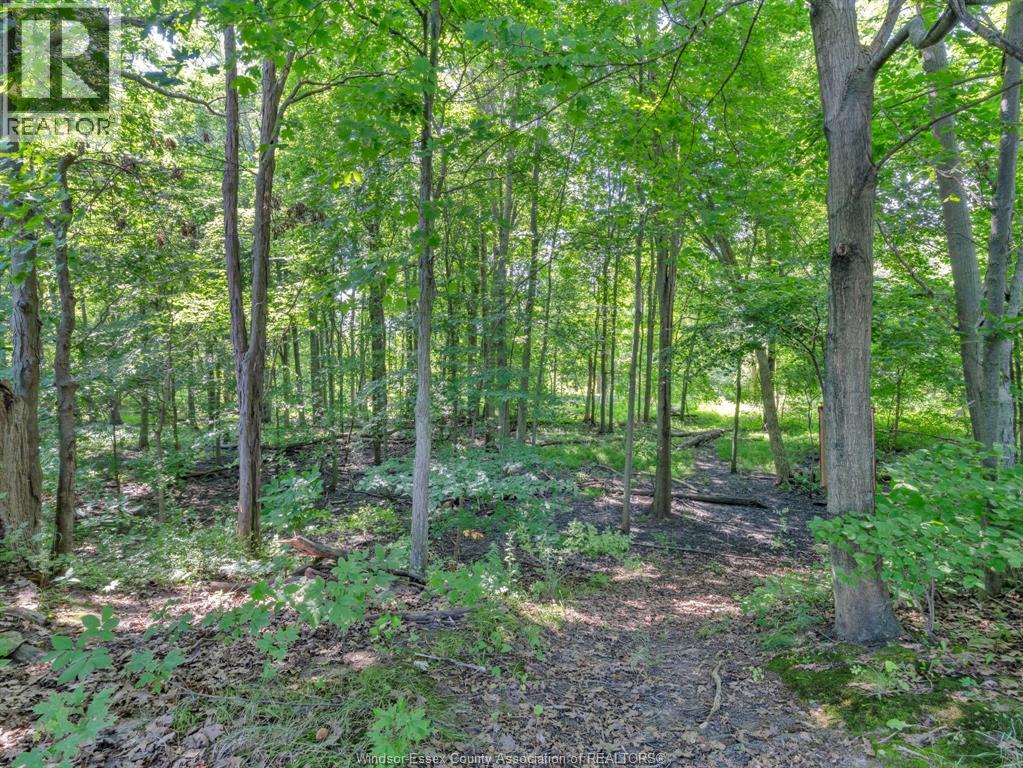 2310 Hickson Road, Leamington, Ontario  N0P 2P0 - Photo 45 - 26003789