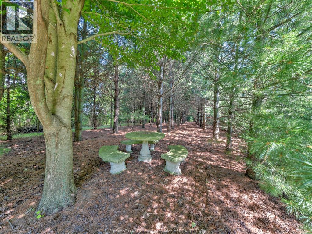 2310 Hickson Road, Leamington, Ontario  N0P 2P0 - Photo 46 - 26003789