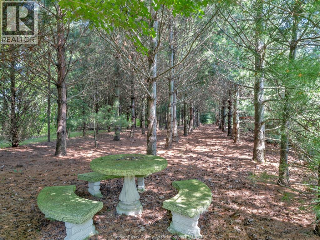 2310 Hickson Road, Leamington, Ontario  N0P 2P0 - Photo 47 - 26003789