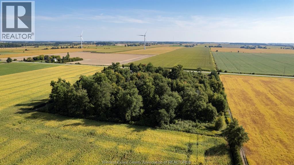 8146 Lakeshore Rd 311, Staples, Ontario  N0P 2J0 - Photo 43 - 26003958