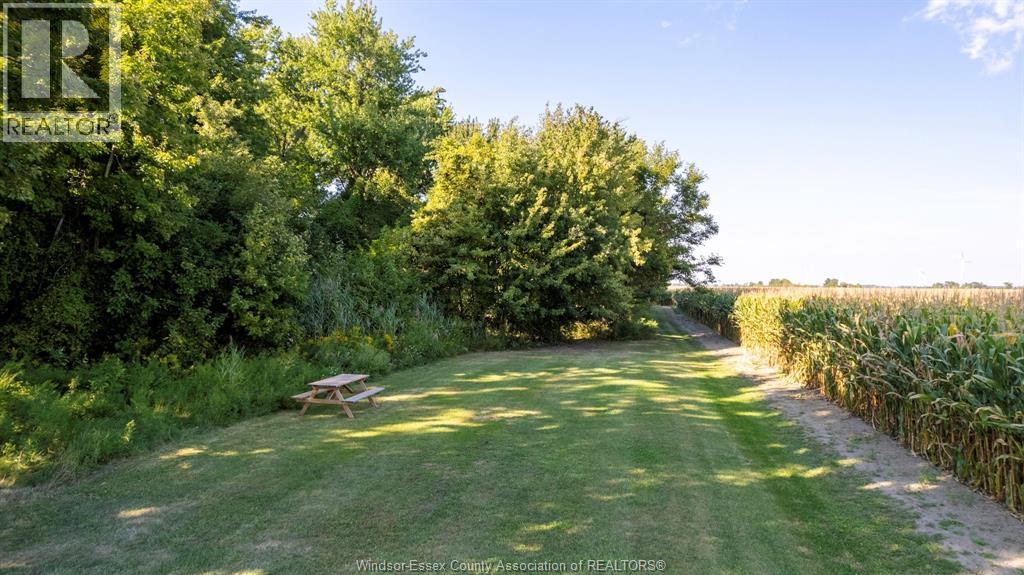 8146 Lakeshore Rd 311, Staples, Ontario  N0P 2J0 - Photo 46 - 26003958