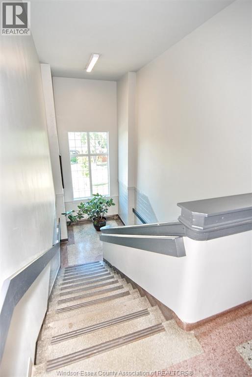 647 Irvine Unit# 301, Windsor, Ontario  N8X 2J4 - Photo 6 - 26003974