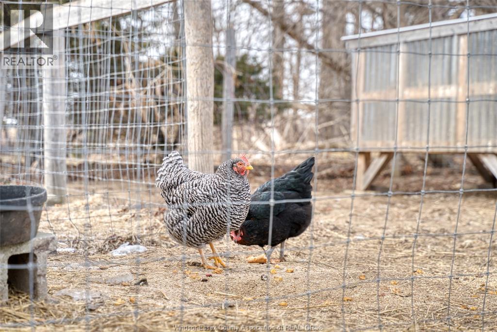 721 Mersea Rd 4, Leamington, Ontario  N8H 3V6 - Photo 41 - 26004148